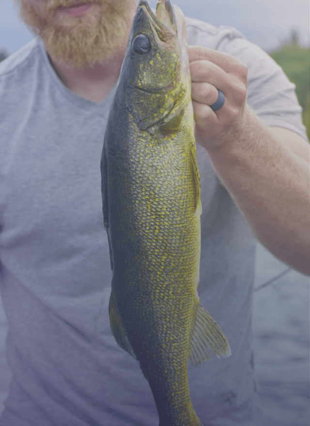 Norwegian Fishing